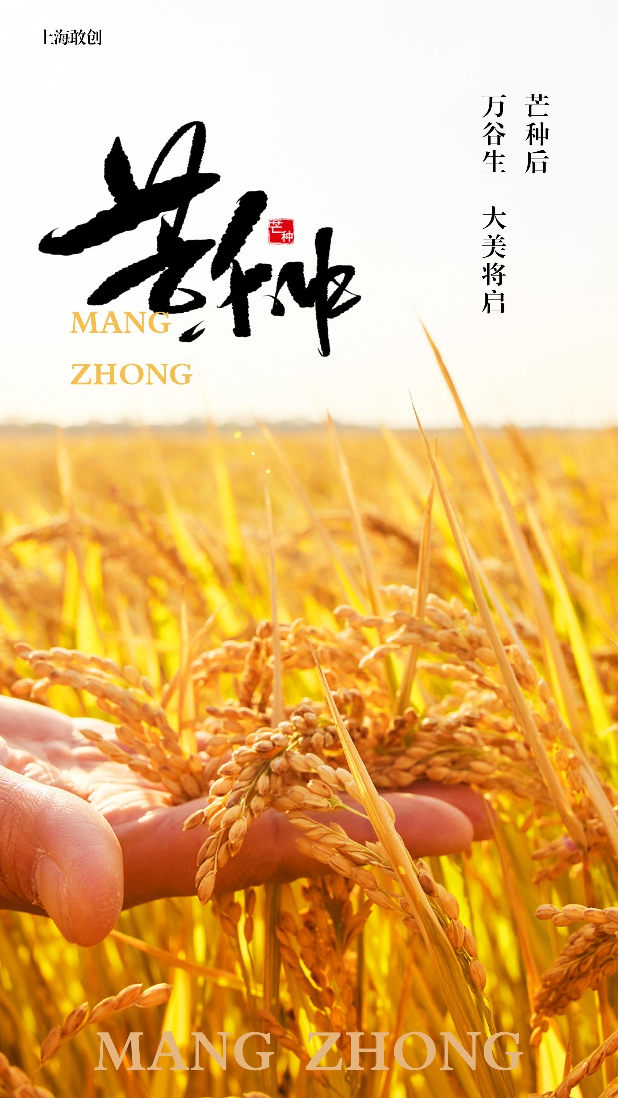微信图片_20260605084222_179_24.jpg